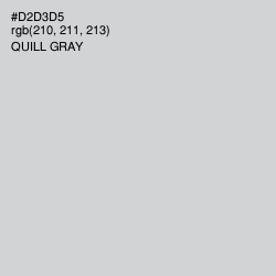 #D2D3D5 - Quill Gray Color Image